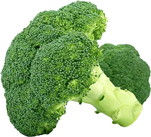 vitamin E
